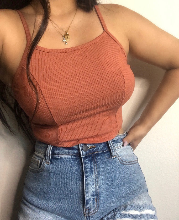 Backless halter top (salmon)